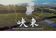 日本遺産『葡萄畑が織りなす風景』 